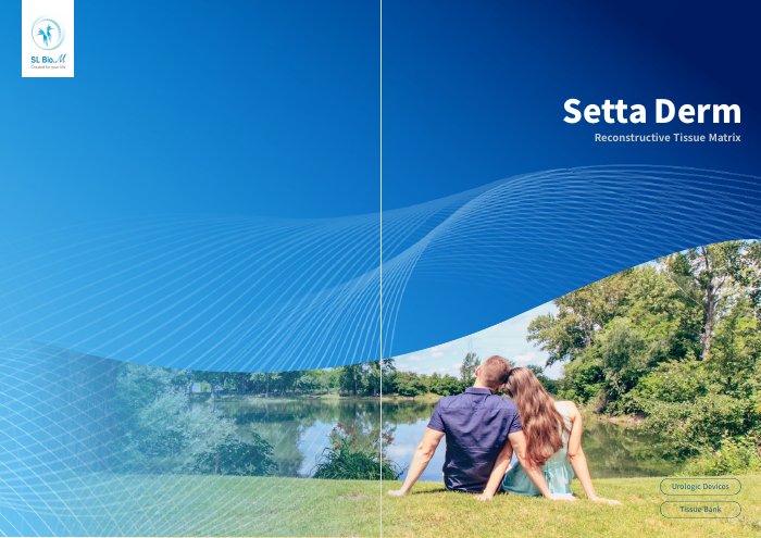 SETTA DERM 카탈로그 표지